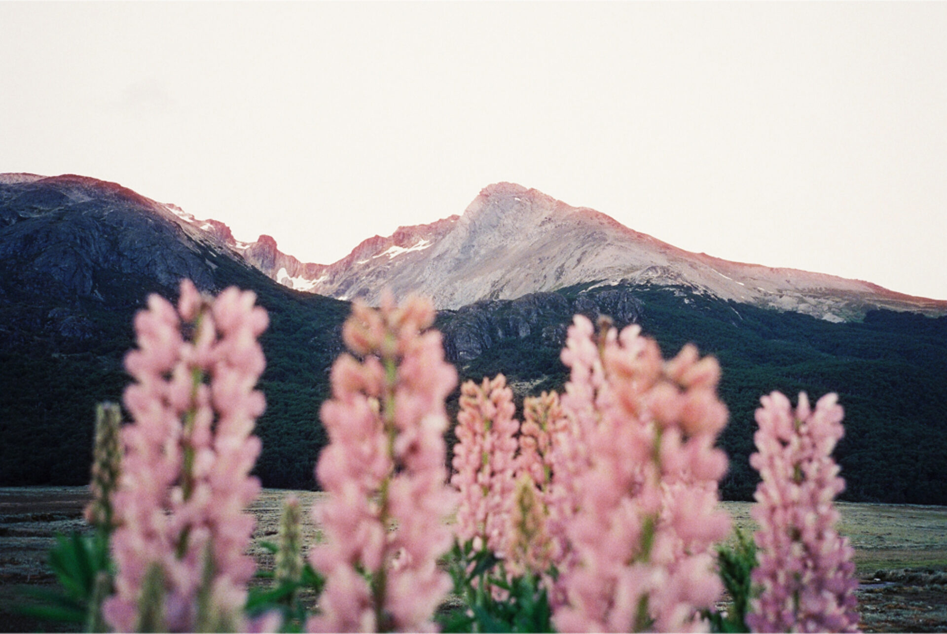 Norway my Love