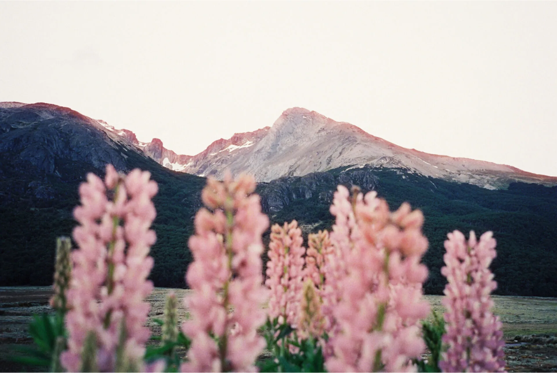 Longyearbyen