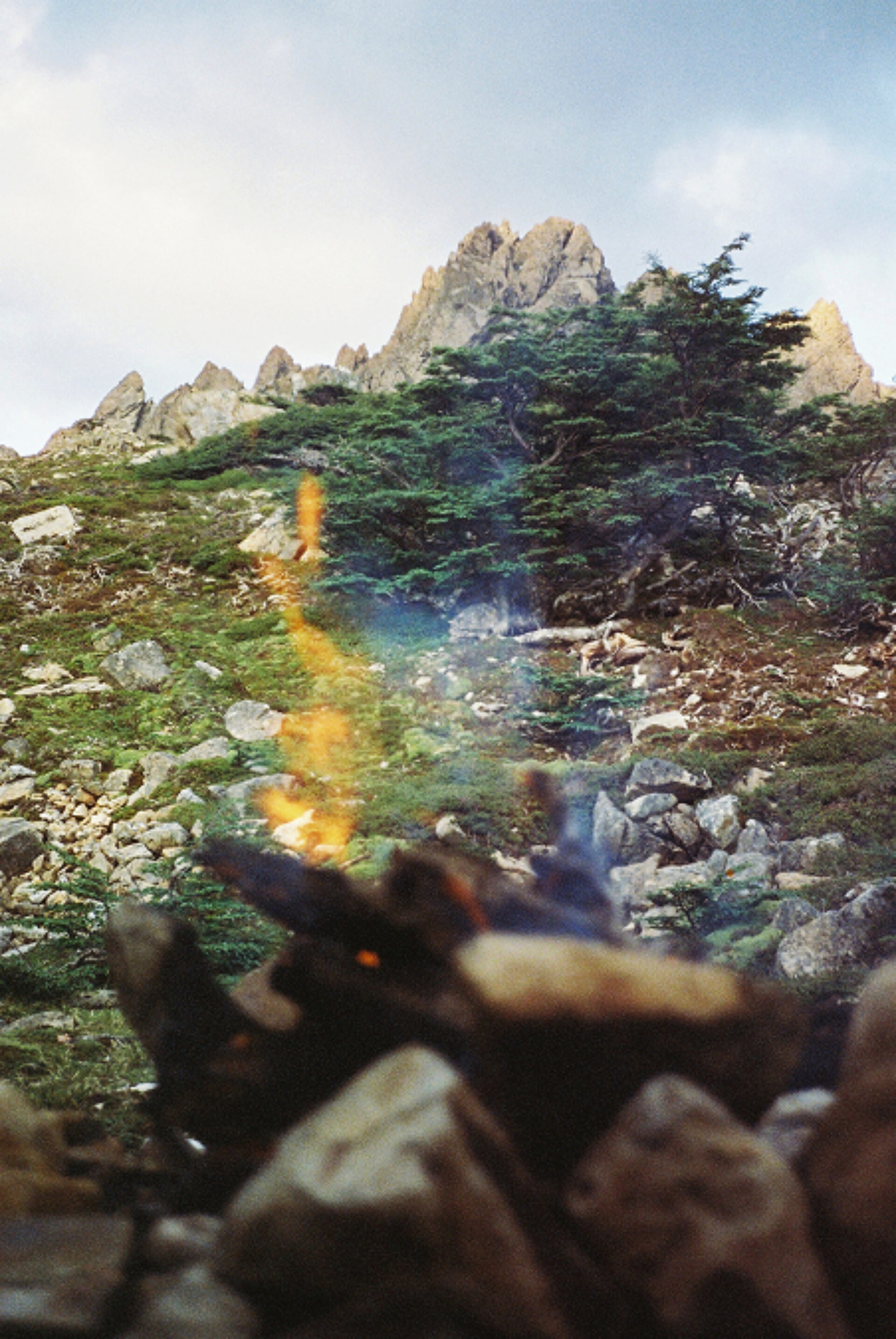 Boreal Landscape